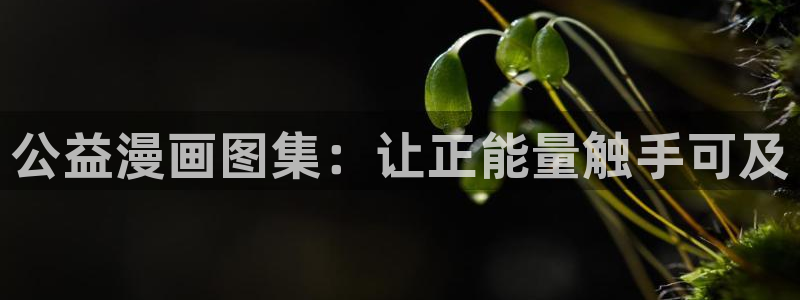 哔咔哔咔漫画账号